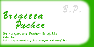 brigitta pucher business card